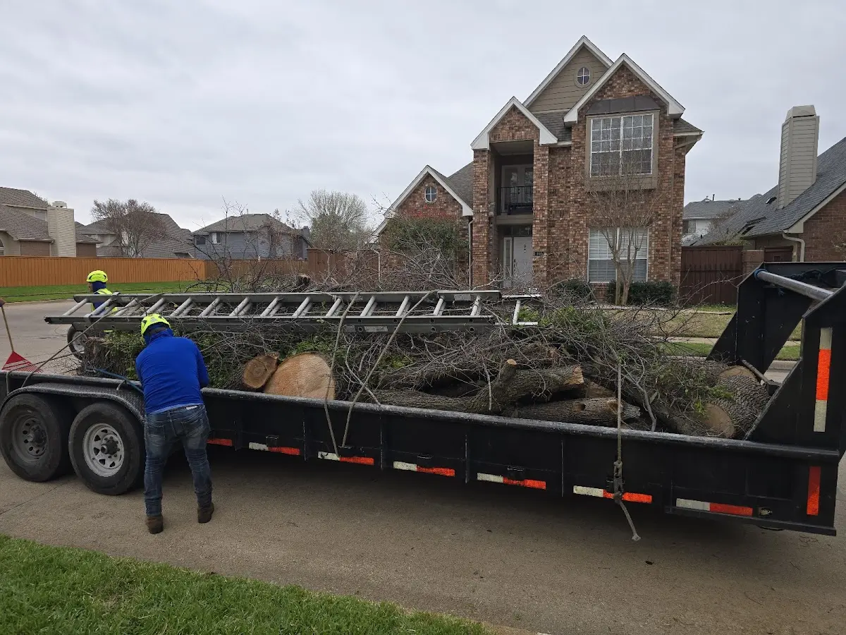 Expert Tree Removal with proper safety equipment in Montgomery